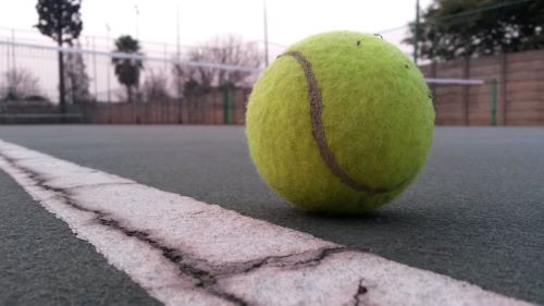 Tennis Ball