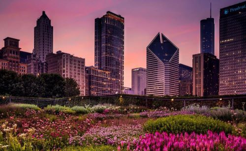 Chicago Skyline (pink)